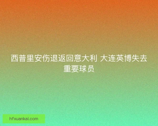 西普里安伤退返回意大利 大连英博失去重要球员