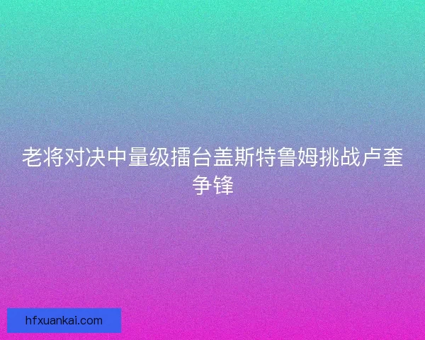 老将对决中量级擂台盖斯特鲁姆挑战卢奎争锋